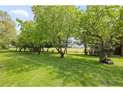 3670-3Rd Concession Road, Essex, ON - Outdoor With View