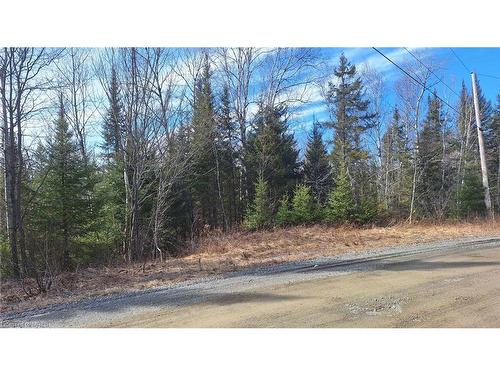 N/A Nepewassi Lake Road, Markstay-Warren, ON 