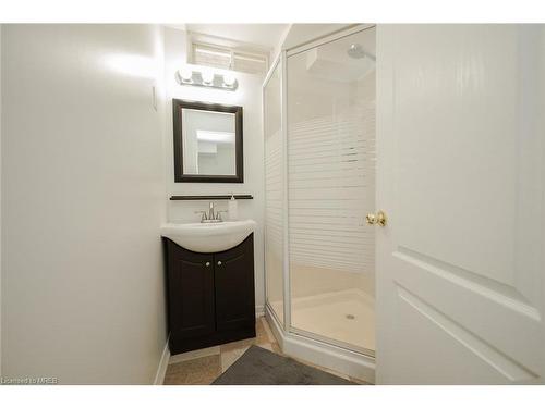 36 Tidemore Heights, Hamilton, ON - Indoor Photo Showing Bathroom
