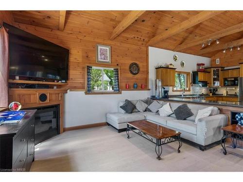 813 Port Maitland Road, Haldimand County, ON - Indoor Photo Showing Living Room With Fireplace