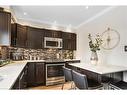 8 Warwick Road, Hamilton, ON  - Indoor Photo Showing Kitchen With Upgraded Kitchen 