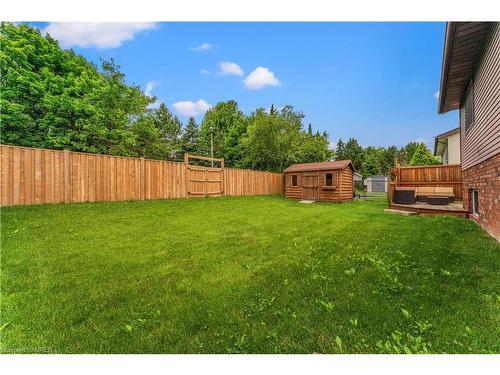 11 Daimler Drive, Kitchener, ON - Outdoor With Backyard