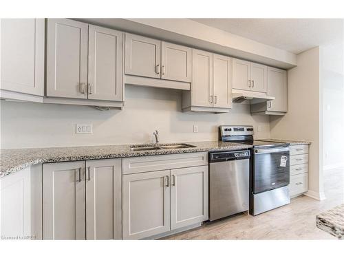 17 Valencia Avenue, Kitchener, ON - Indoor Photo Showing Kitchen With Double Sink