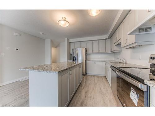 17 Valencia Avenue, Kitchener, ON - Indoor Photo Showing Kitchen With Upgraded Kitchen