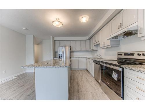 17 Valencia Avenue, Kitchener, ON - Indoor Photo Showing Kitchen With Upgraded Kitchen