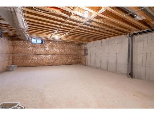 123 Freedom Crescent, Hamilton, ON - Indoor Photo Showing Basement