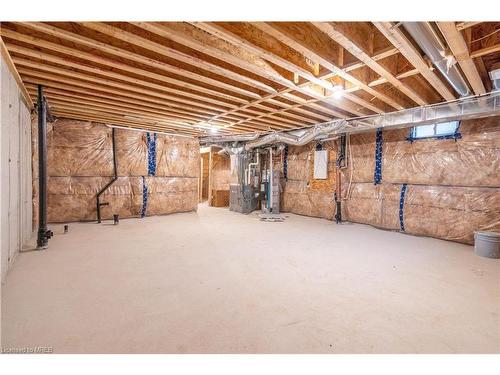 123 Freedom Crescent, Hamilton, ON - Indoor Photo Showing Basement