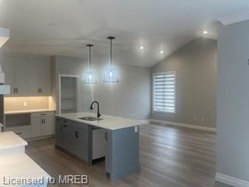 Upper-60 Lark Street, Tillsonburg, ON - Indoor Photo Showing Kitchen With Upgraded Kitchen