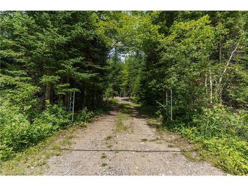 2978 Glamorgan Road, Haliburton, ON 