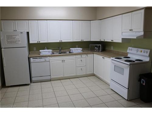 203-271 Lester Street, Waterloo, ON - Indoor Photo Showing Kitchen With Double Sink