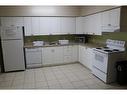 203-271 Lester Street, Waterloo, ON  - Indoor Photo Showing Kitchen With Double Sink 