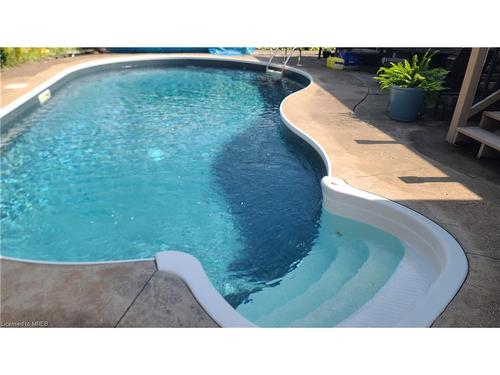 3280 California Avenue, Windsor, ON - Outdoor With In Ground Pool