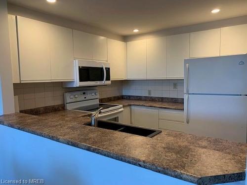 2-3111 Grandview Forest Hill Drive, Huntsville, ON - Indoor Photo Showing Kitchen With Double Sink