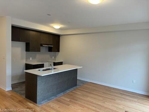 09-15 Blacklock Street Street, Cambridge, ON - Indoor Photo Showing Kitchen With Double Sink