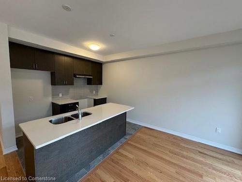 09-15 Blacklock Street Street, Cambridge, ON - Indoor Photo Showing Kitchen With Double Sink