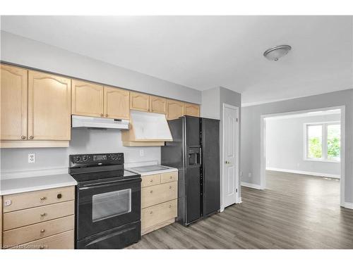 170 Martinet Avenue, London, ON - Indoor Photo Showing Kitchen