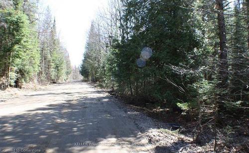 0 Contau Lake Road, Haliburton, ON 