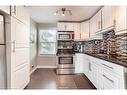 290 Pine Street, Milton, ON  - Indoor Photo Showing Kitchen With Upgraded Kitchen 