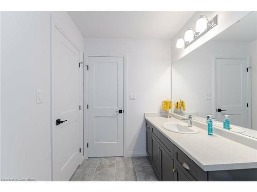 127 Court Drive, Paris, ON - Indoor Photo Showing Bathroom