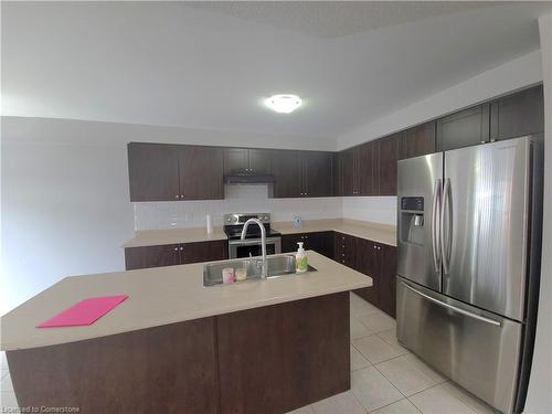 41 Cole Crescent, Brantford, ON - Indoor Photo Showing Kitchen With Double Sink