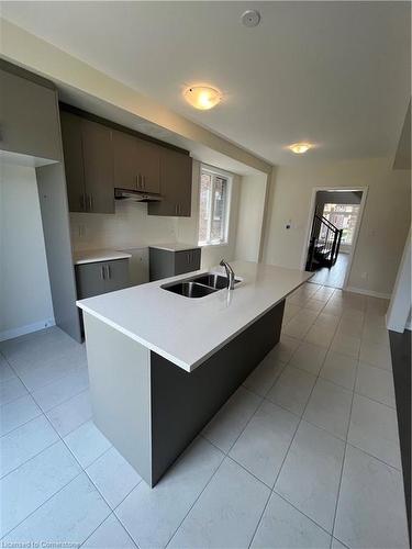 8 Capton Street Street, Brantford, ON - Indoor Photo Showing Kitchen With Double Sink