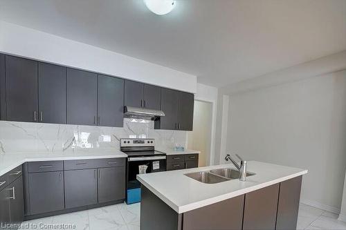 33 Gilham Way, Paris, ON - Indoor Photo Showing Kitchen With Double Sink