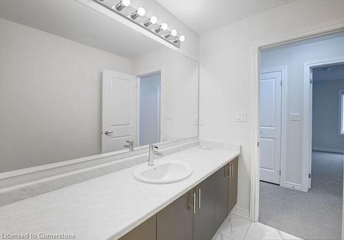 33 Gilham Way, Paris, ON - Indoor Photo Showing Bathroom