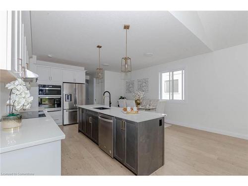 236 Mount Pleasant Street, Brantford, ON - Indoor Photo Showing Kitchen With Upgraded Kitchen