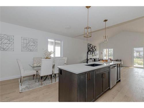 236 Mount Pleasant Street, Brantford, ON - Indoor Photo Showing Kitchen