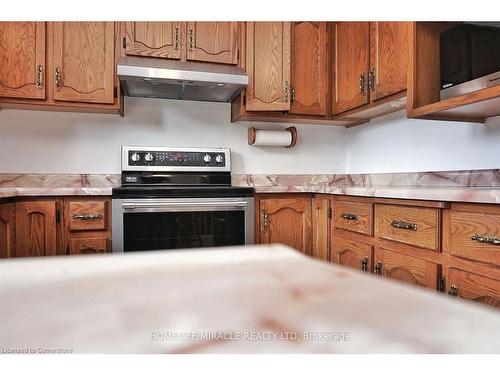 93 Old Chicopee Drive, Kitchener, ON - Indoor Photo Showing Kitchen