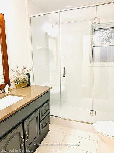 442 Scenic Drive N, London, ON - Indoor Photo Showing Bathroom