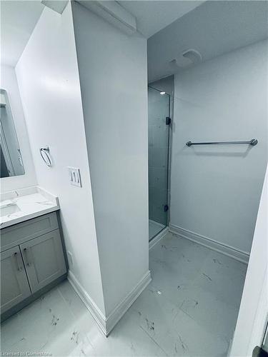 175 Wissler Road, Waterloo, ON - Indoor Photo Showing Bathroom