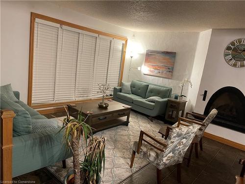 268 Manchester Road, Kitchener, ON - Indoor Photo Showing Living Room