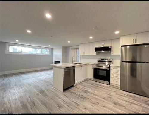 Lower-76 Montcalm Drive, Kitchener, ON - Indoor Photo Showing Kitchen With Stainless Steel Kitchen