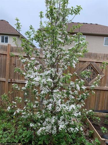 79 Oakes Crescent, Guelph, ON - Outdoor