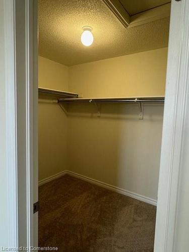 21 Molnar Crescent, Brantford, ON - Indoor With Storage