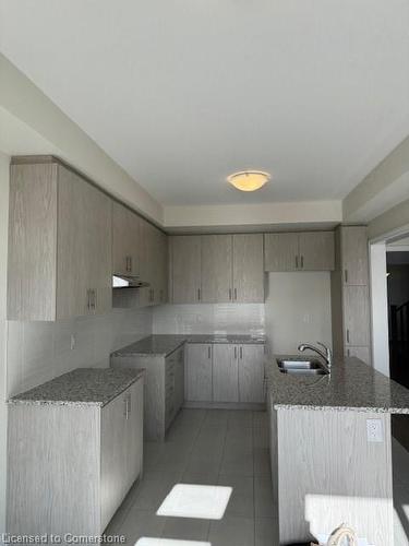 21 Molnar Crescent, Brantford, ON - Indoor Photo Showing Kitchen With Double Sink