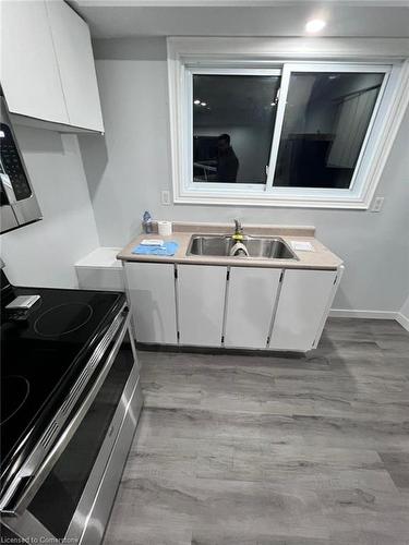 275 D Stanley Street, Brantford, ON - Indoor Photo Showing Kitchen With Double Sink