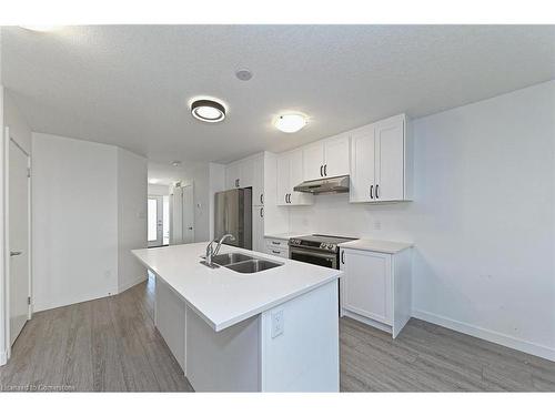 12 Roper Place, Kitchener, ON - Indoor Photo Showing Kitchen With Double Sink