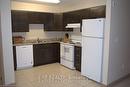 102-271 Lester Street, Waterloo, ON  - Indoor Photo Showing Kitchen With Double Sink 