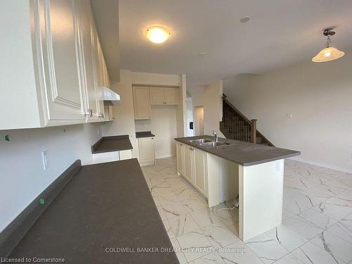 227 Gillespie Drive Drive, Brantford, ON - Indoor Photo Showing Kitchen With Double Sink