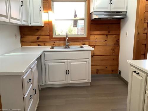 2644 Mary Nichols Road, Lakefield, ON - Indoor Photo Showing Kitchen With Double Sink