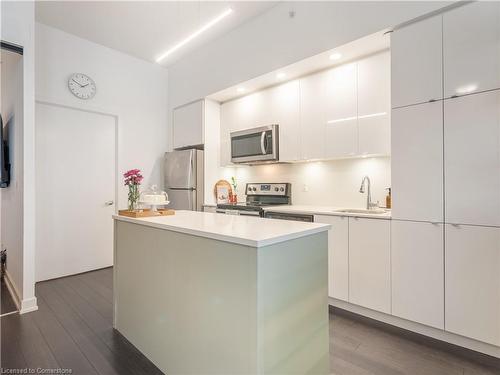 B209-5240 Dundas Street Street, Burlington, ON - Indoor Photo Showing Kitchen With Upgraded Kitchen