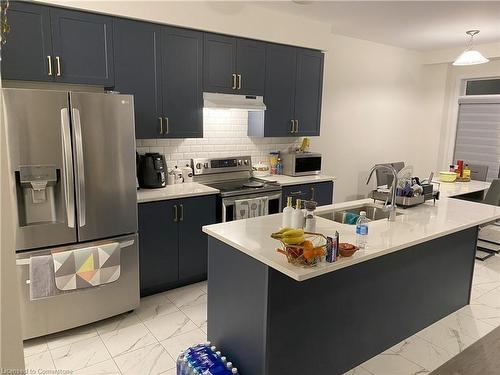 199 Wilmot Road, Brantford, ON - Indoor Photo Showing Kitchen With Double Sink With Upgraded Kitchen