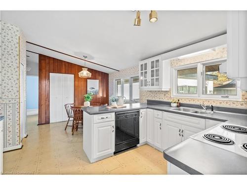 118 West 19Th Street, Hamilton, ON - Indoor Photo Showing Kitchen With Double Sink