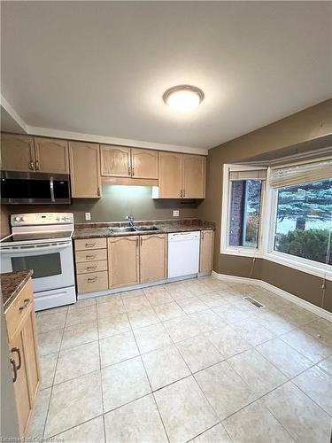 276 Benesfort Crescent, Kitchener, ON - Indoor Photo Showing Kitchen With Double Sink