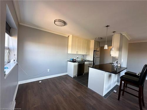 602-350 Concession Street, Hamilton, ON - Indoor Photo Showing Kitchen