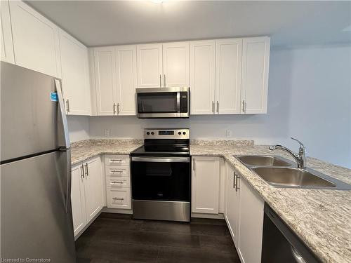 35-19 Picardy Drive, Hamilton, ON - Indoor Photo Showing Kitchen With Stainless Steel Kitchen With Double Sink