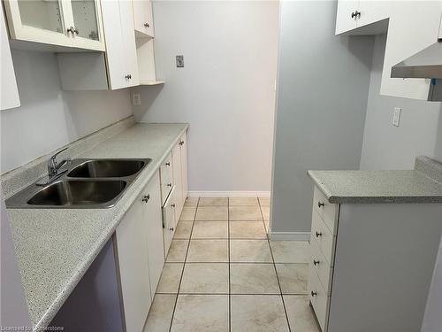 61 Roman Crescent, Brantford, ON - Indoor Photo Showing Kitchen With Double Sink