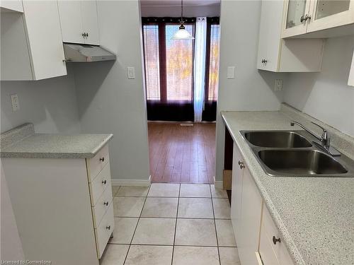 61 Roman Crescent, Brantford, ON - Indoor Photo Showing Kitchen With Double Sink